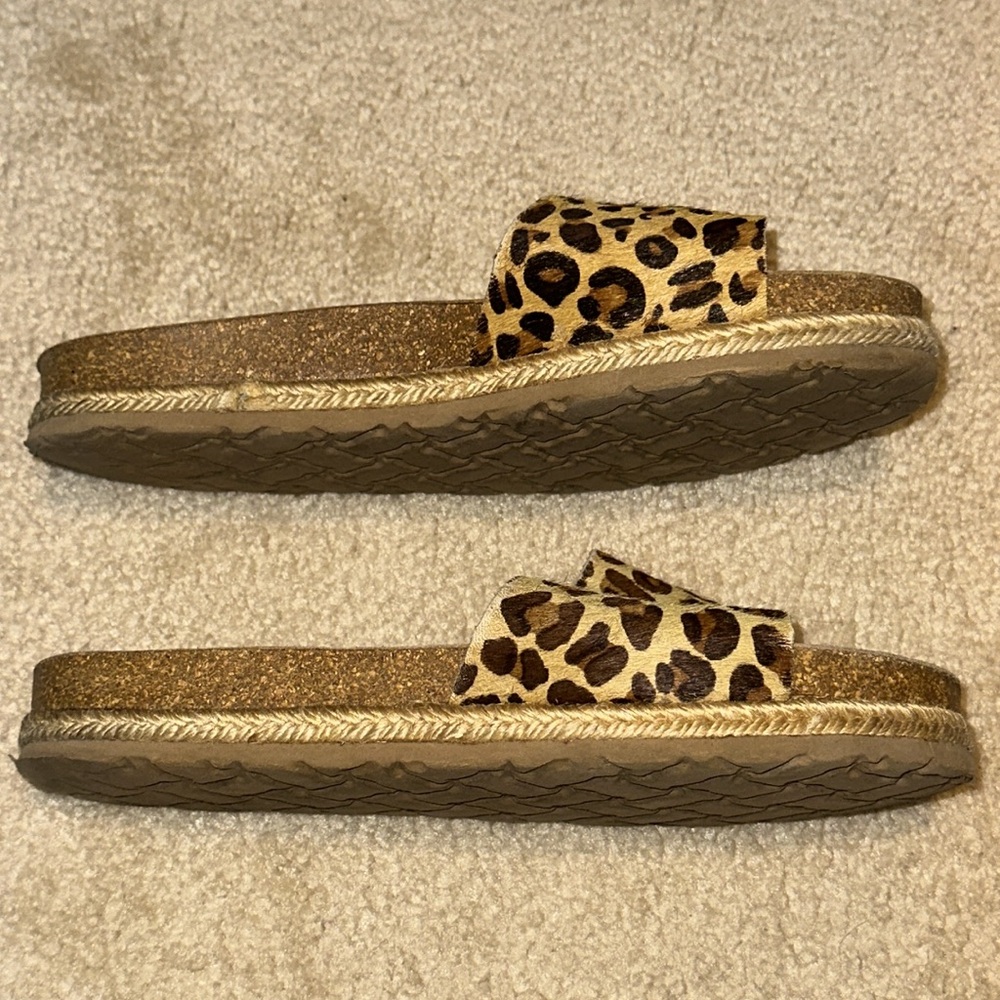 Cheetah Slides - image 3